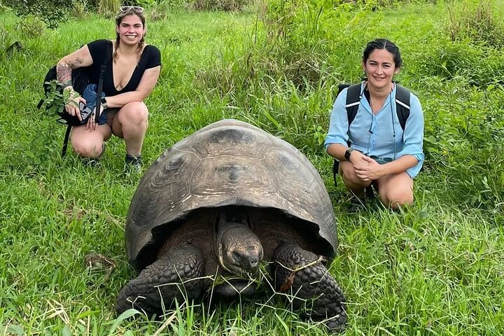 Private Tour Sighting Giant Tortoises and Lava Tunnels - Photo 1 of 22